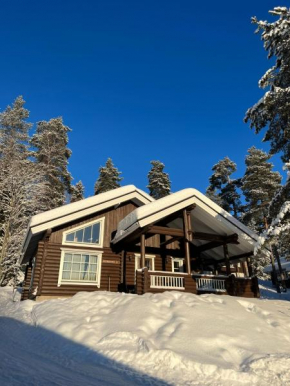 Äijänhonka Cottage Jämsä